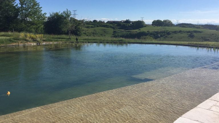 Natural Pool - Gardening in France