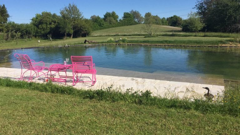 Natural Pool - Kingdom Vegetal