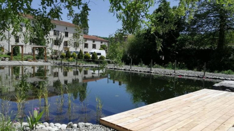 Natural-Pool-south-France-Kingdom-Vegetal-scaled-e1591332858731