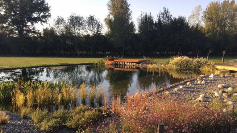 Phipps-pool-complete-2-e1591332586467