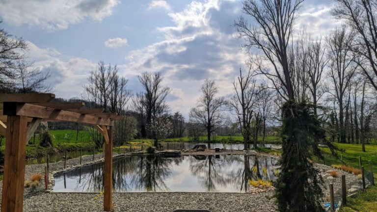 Creating-a-Natural-Swimming-Pool_Gardening-in-France