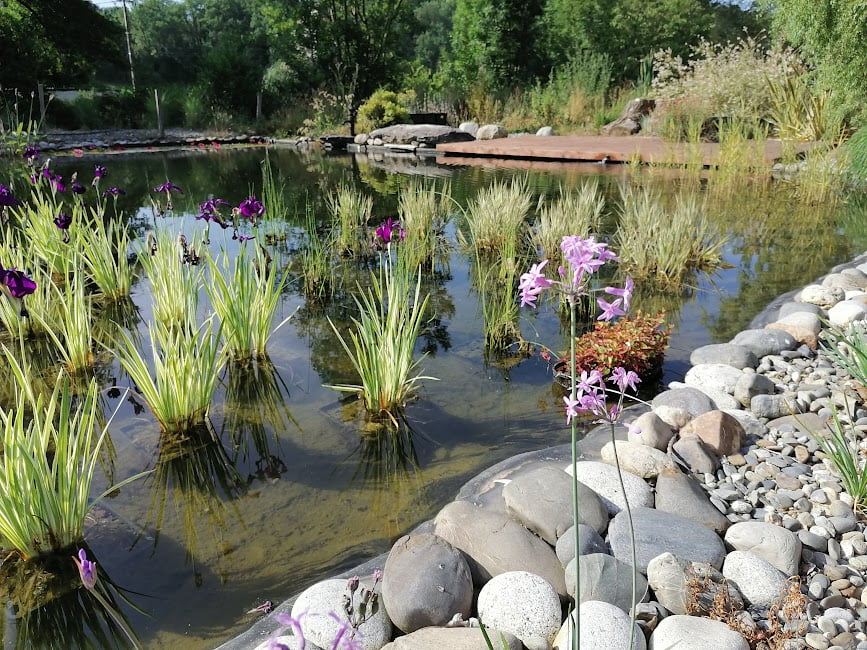 Natural Swimming Ponds - Gardening in France