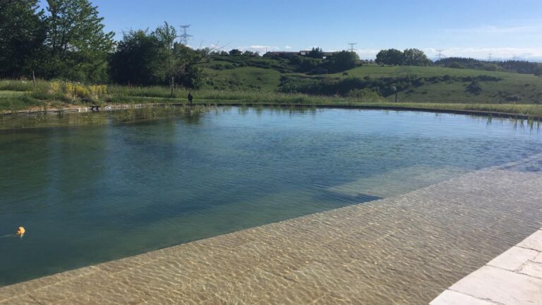 Natural-Pool-Gardening-in-France.jpg
